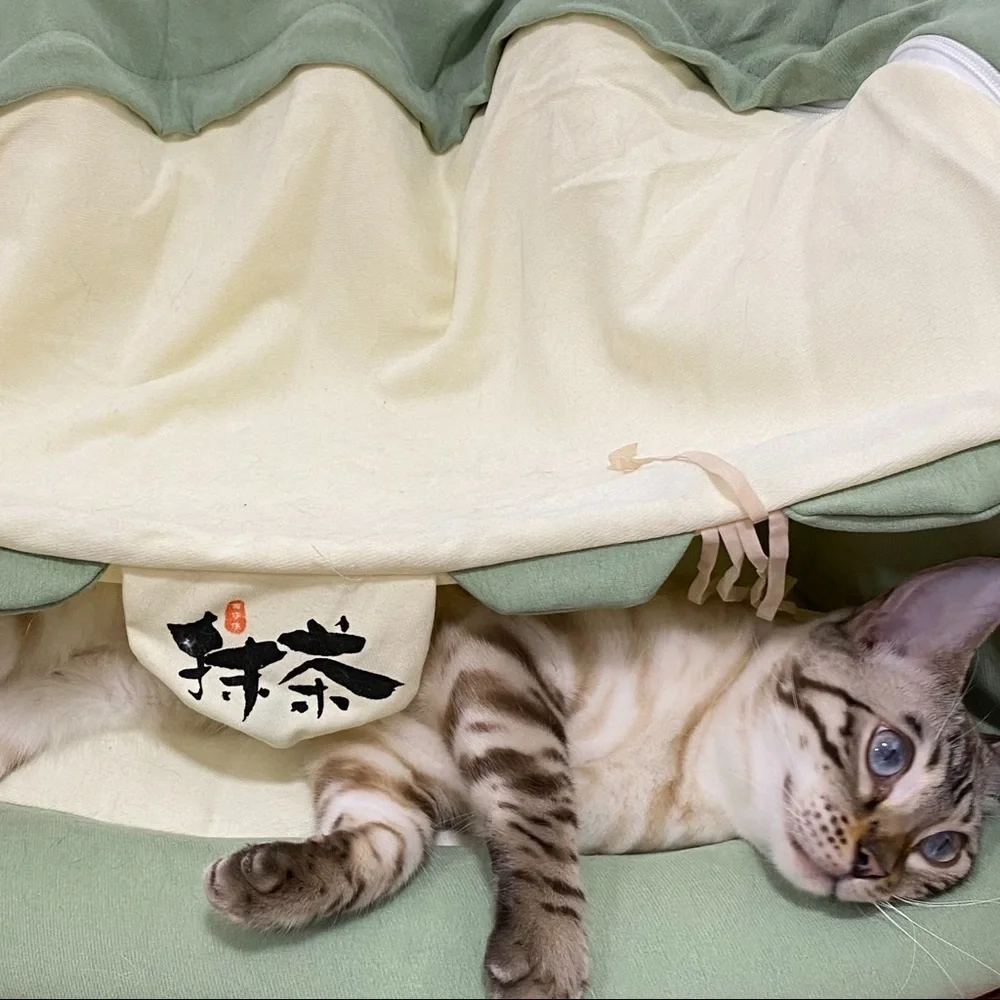 Cat Collapsible Tunnel Bed Match Green